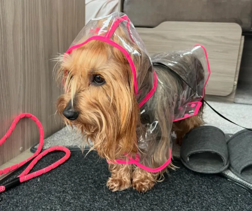 raincoat.png